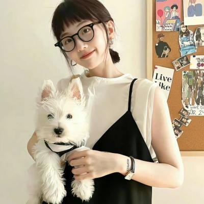 机智牢房生活国语